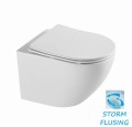 Aquaform Soller Storm Rimless miska wc wisząca z deska wolnoopadająca